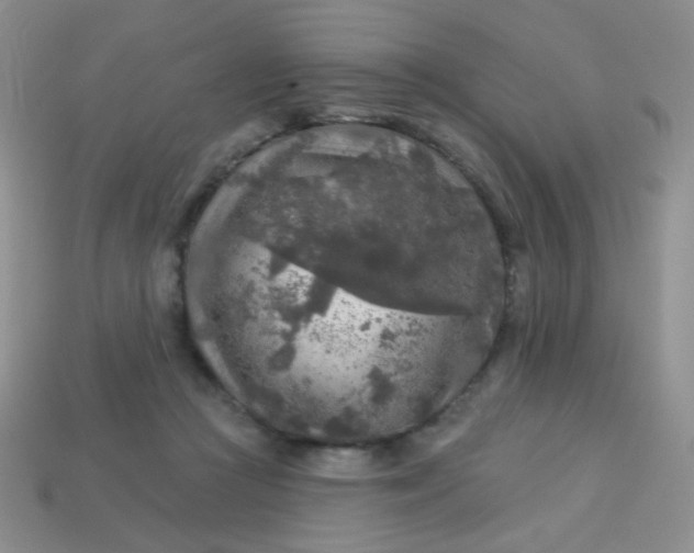 X0000113960361200910091634