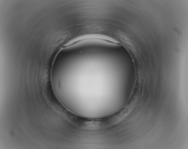 X0000113960362200910091634