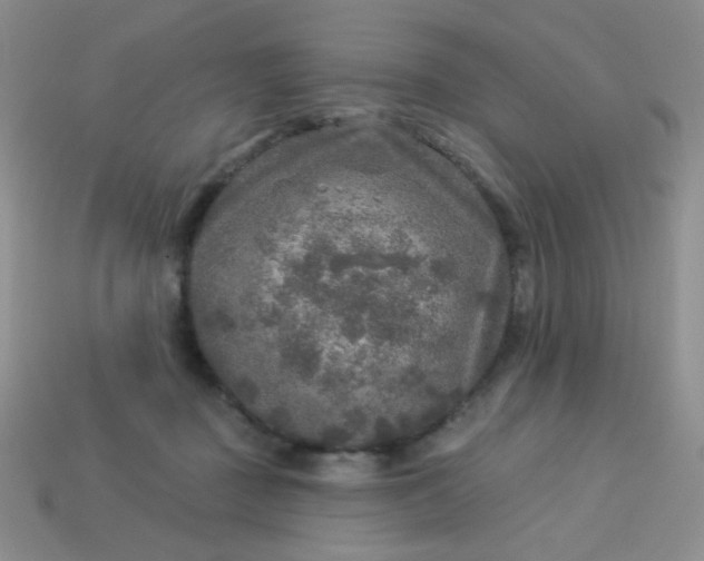 X0000113960363200910091634