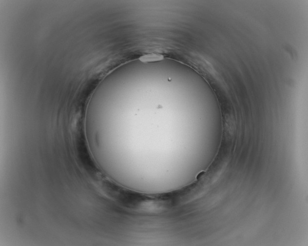 X0000113960364200910091634