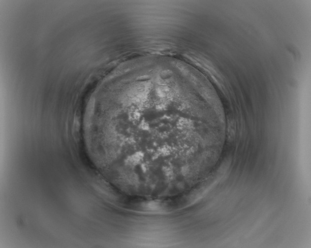 X0000113960365200910091634