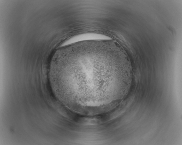 X0000113960366200910091634