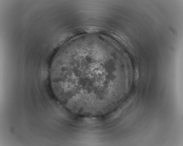 X0000113960367200910091634