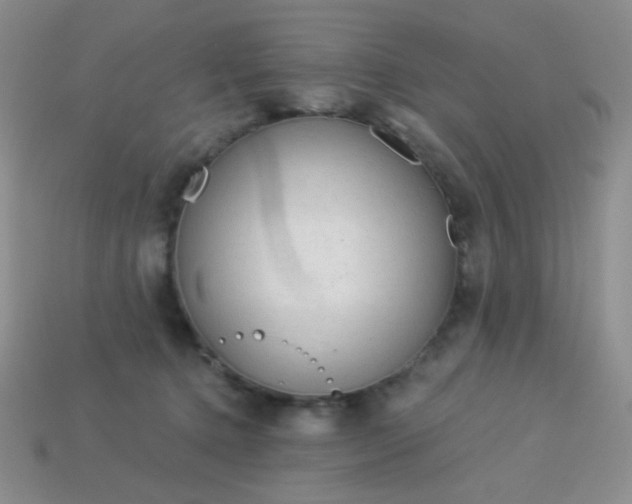 X0000113960368200910091634