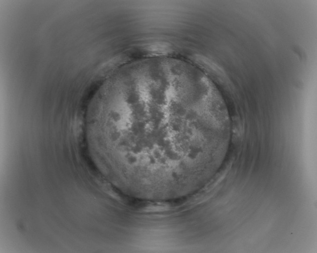 X0000113960369200910091634