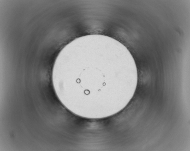 X0000113960370200910091634