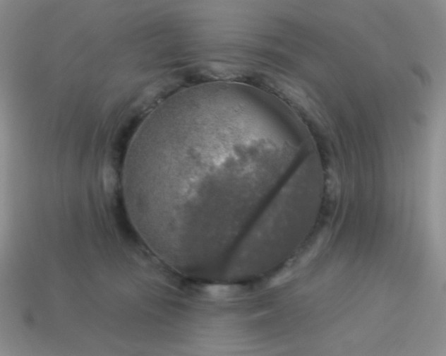 X0000113960371200910091634