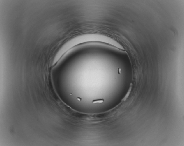 X0000113960372200910091634