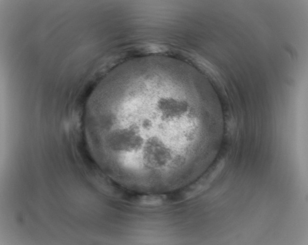 X0000113960373200910091634