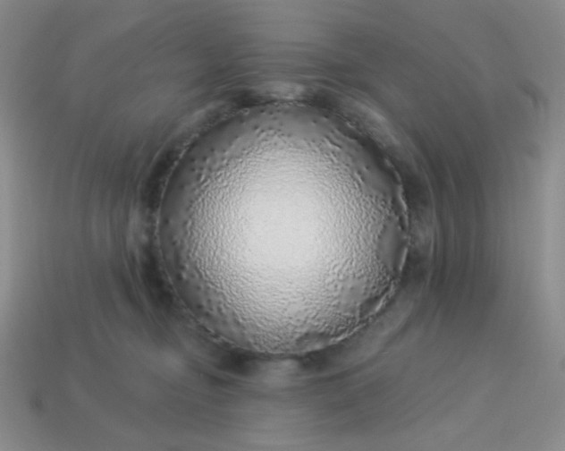 X0000113960374200910091634