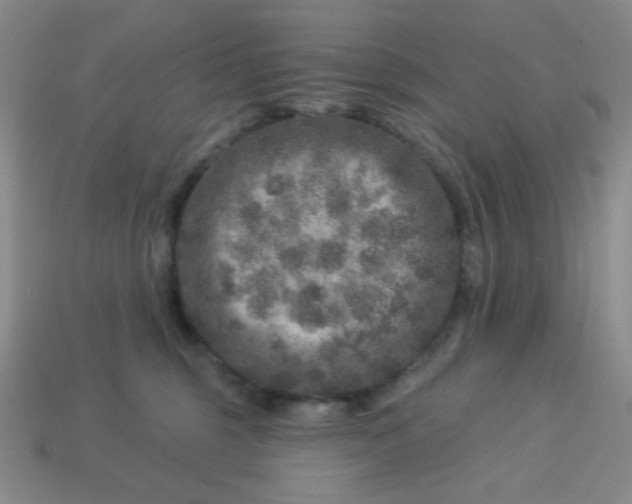 X0000113960375200910091634