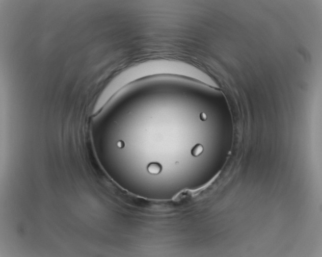 X0000113960376200910091634