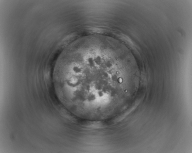 X0000113960377200910091634