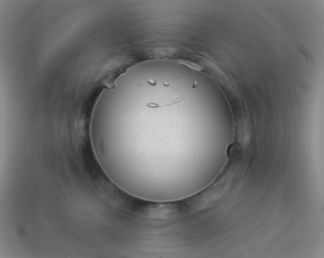 X0000113960378200910091634