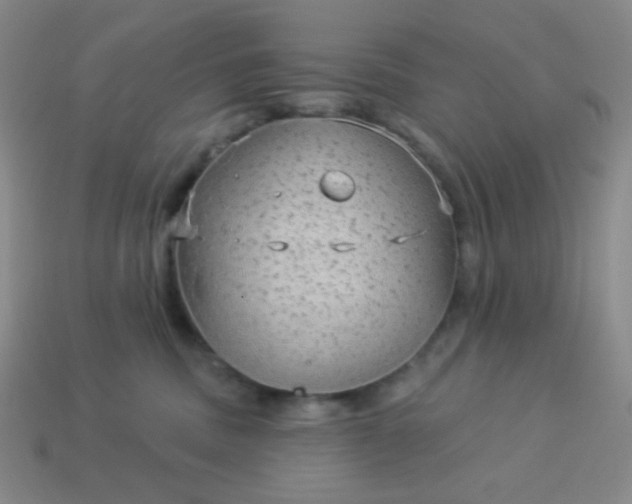 X0000113960379200910091634