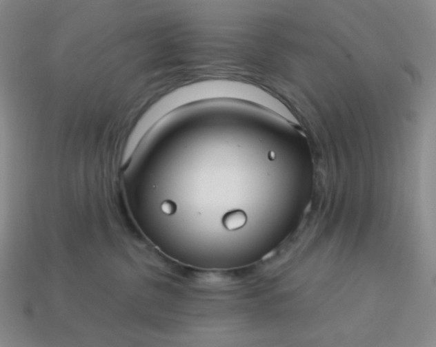 X0000113960380200910091634