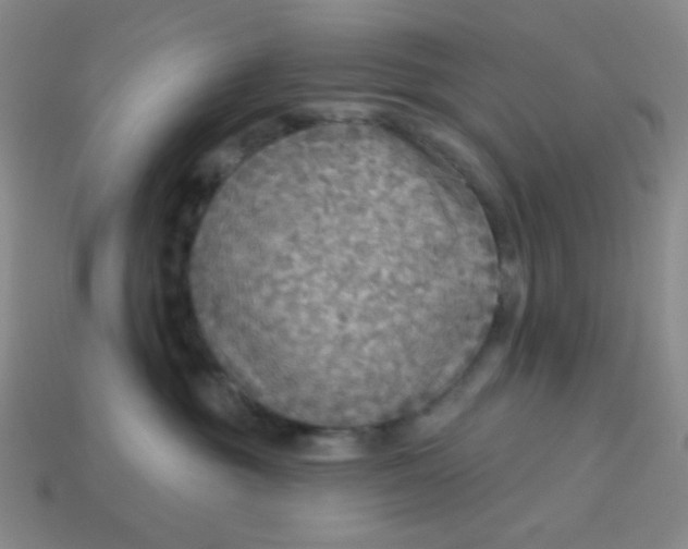 X0000113960381200910091634