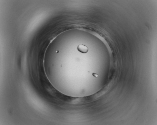 X0000113960382200910091634