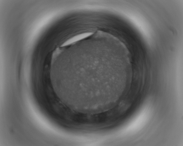 X0000113960383200910091634