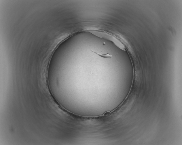 X0000113960385200910091633