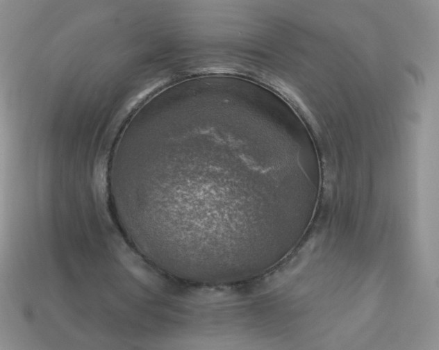 X0000113960386200910091633