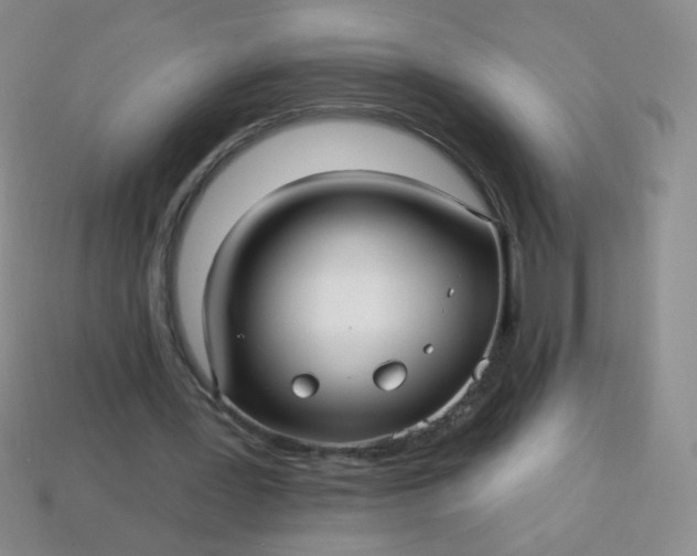 X0000113960387200910091633