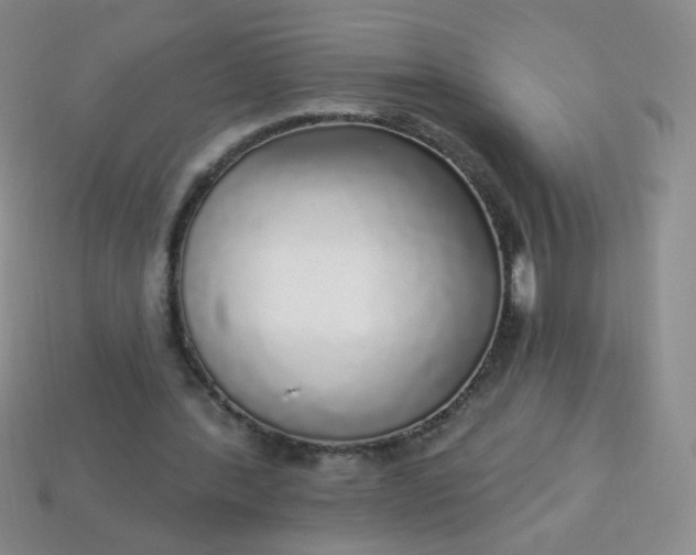 X0000113960388200910091633