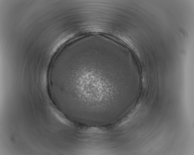 X0000113960390200910091633