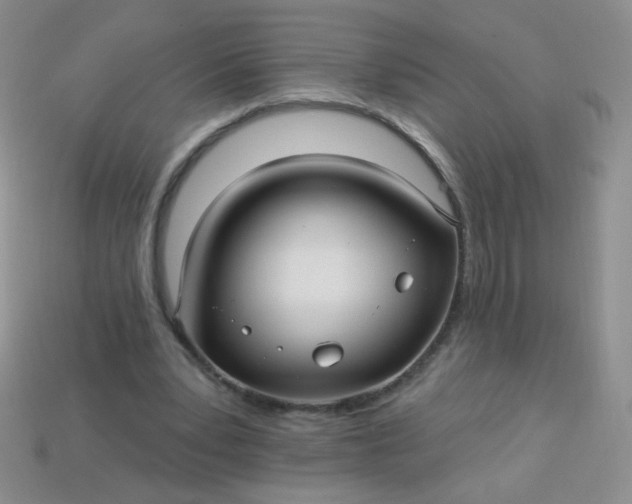 X0000113960391200910091633