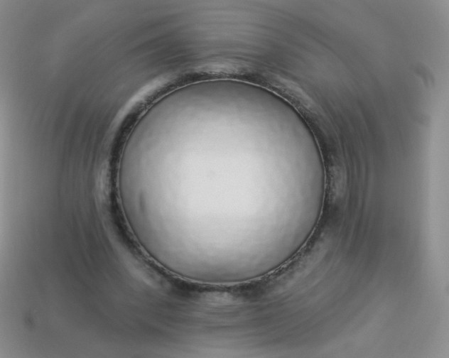 X0000113960392200910091633