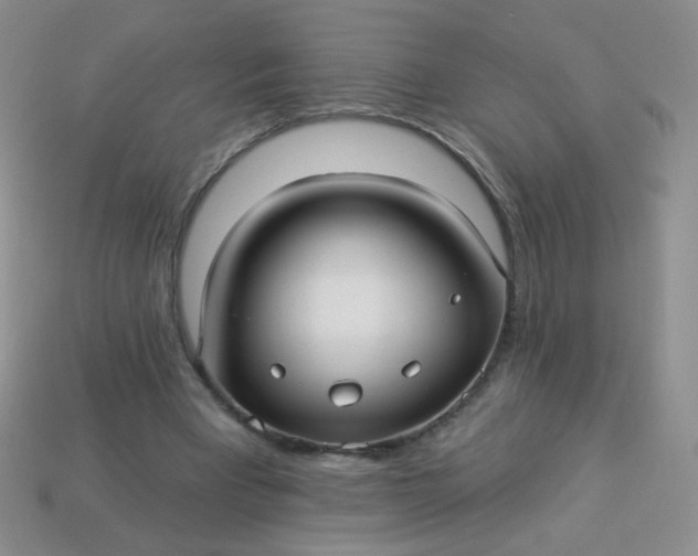 X0000113960393200910091633