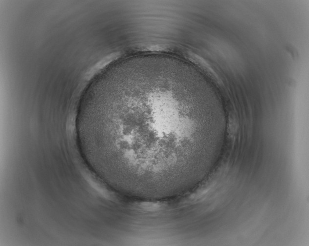 X0000113960394200910091633