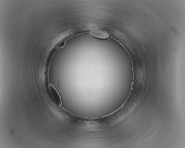 X0000113960395200910091633