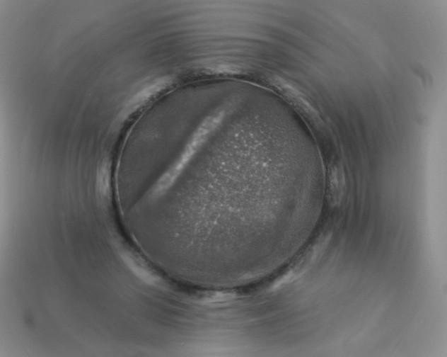 X0000113960398200910091633