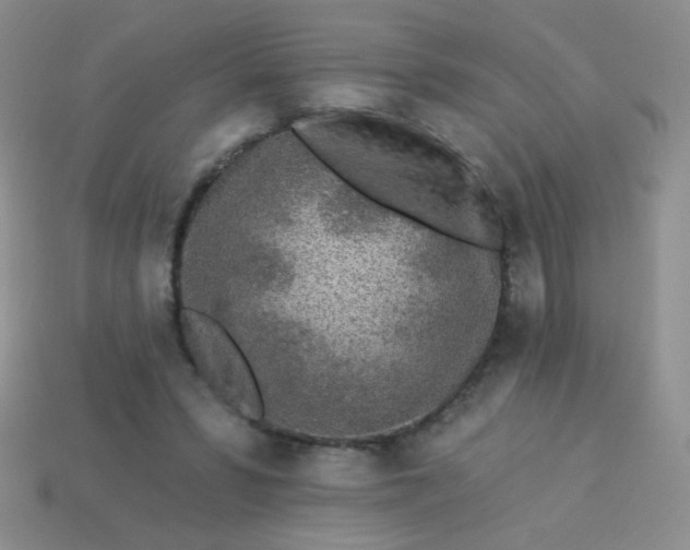 X0000113960399200910091633