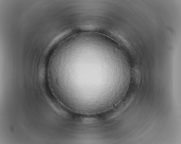 X0000113960400200910091633