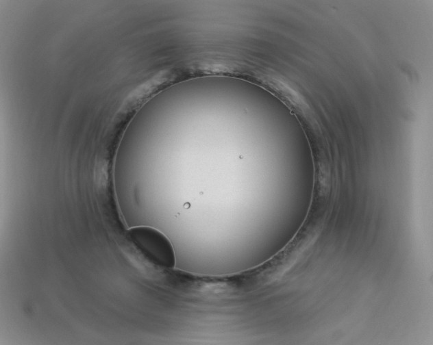 X0000113960401200910091633