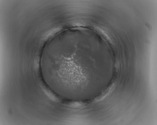 X0000113960402200910091633