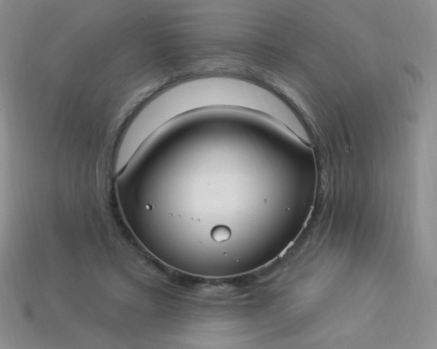 X0000113960403200910091633