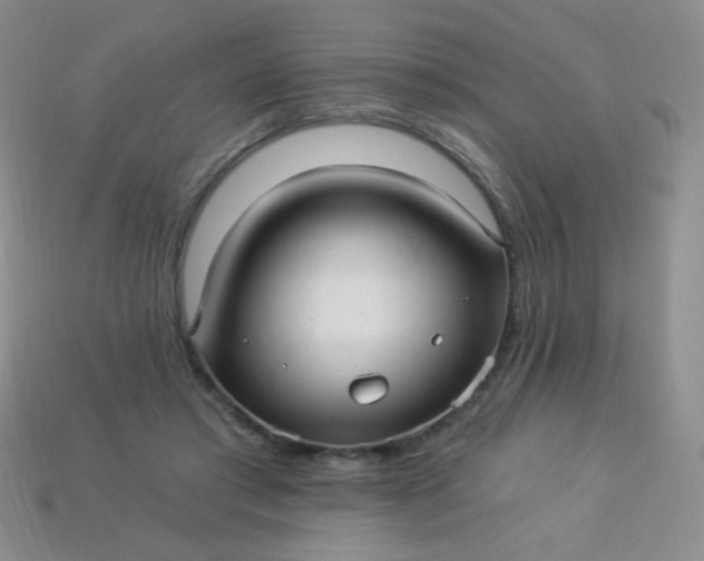 X0000113960405200910091633