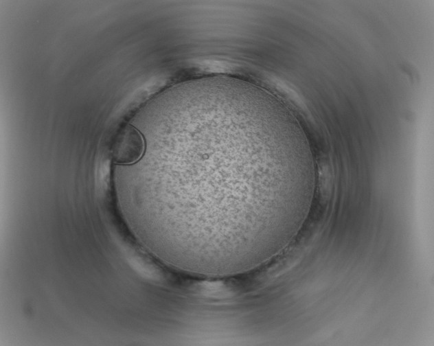 X0000113960406200910091633