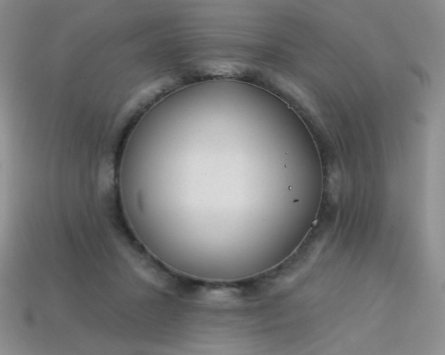 X0000113960407200910091633