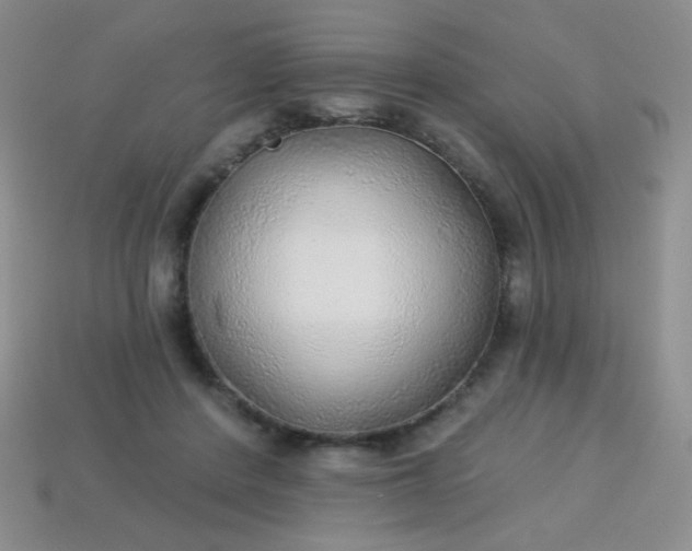 X0000113960408200910091633