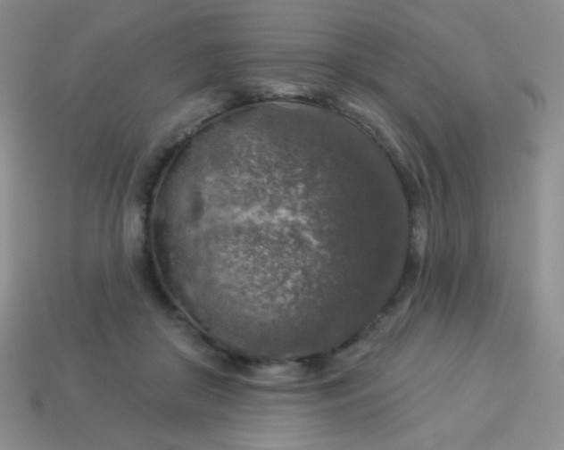 X0000113960410200910091633