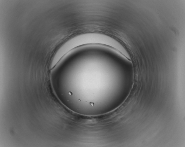 X0000113960411200910091633