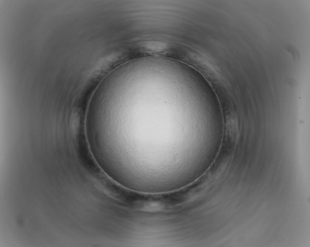 X0000113960412200910091633