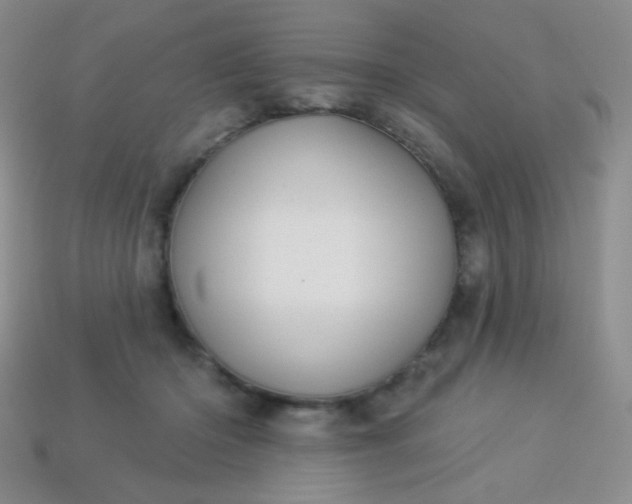 X0000113960414200910091633