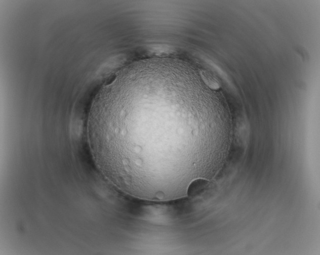 X0000113960417200910091633