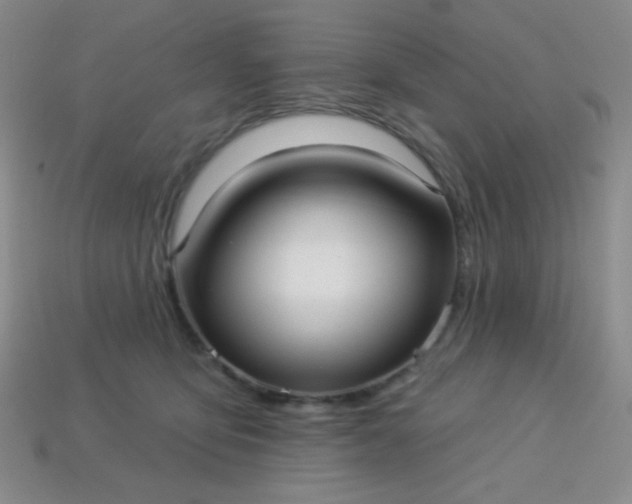 X0000113960419200910091633