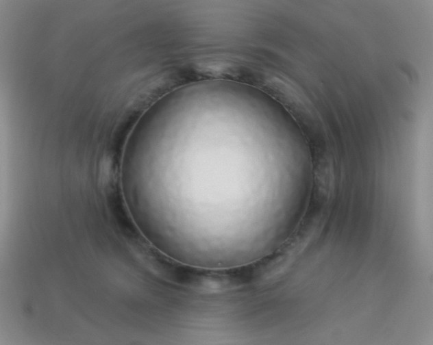 X0000113960420200910091633